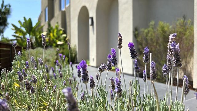 610 Cultivate, Irvine, CA 92618