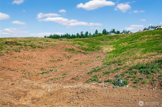 236 Jordan View Drive, Woodland, WA 98674