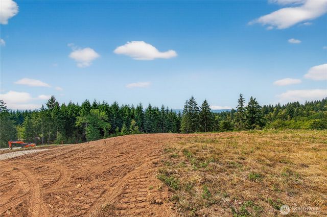 236 Jordan View Drive, Woodland, WA 98674
