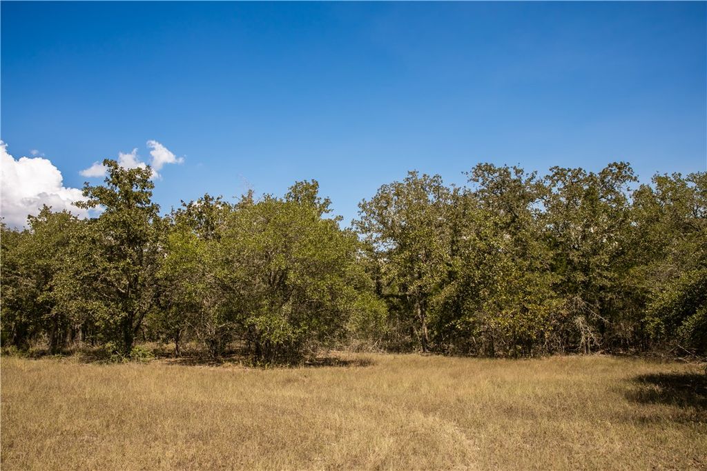 TBD FM 180, Ledbetter, TX 78946 — photo 2