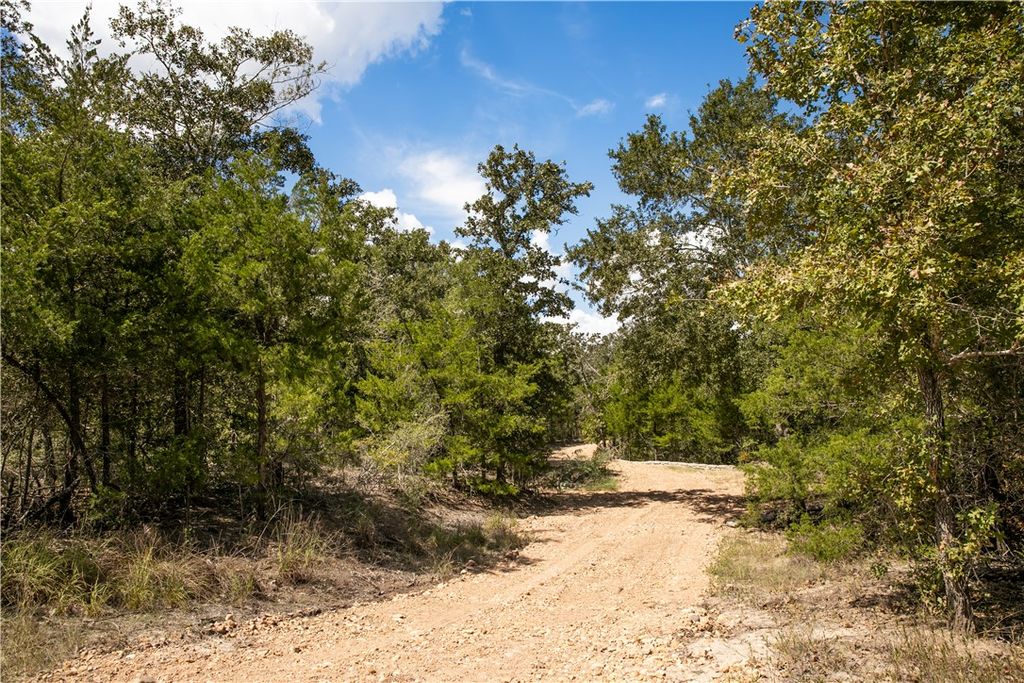 TBD FM 180, Ledbetter, TX 78946 — photo 3