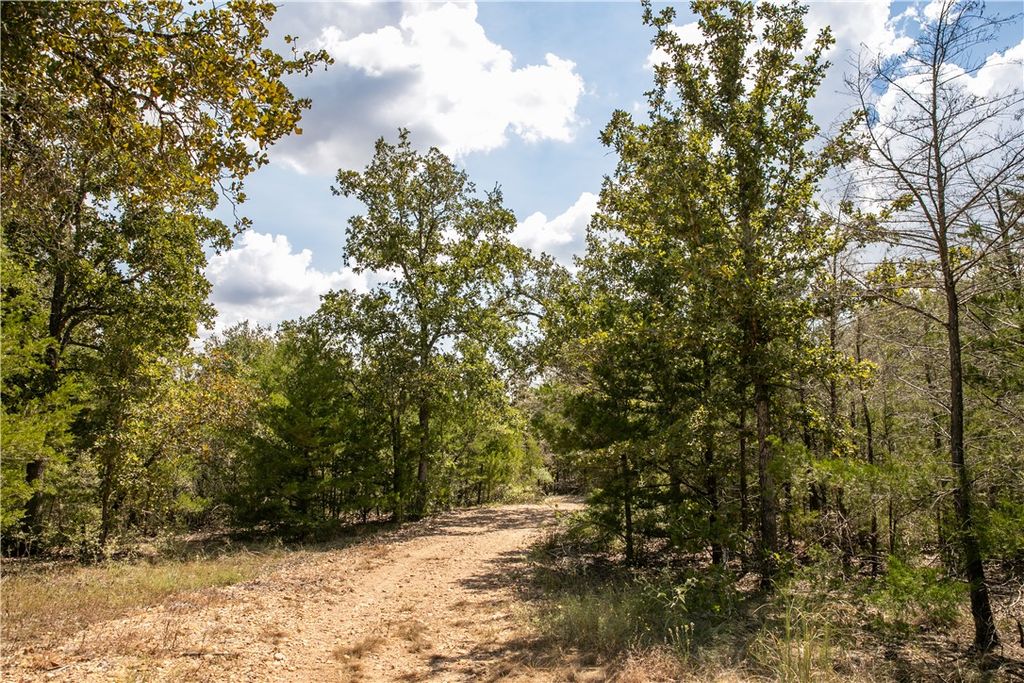 TBD FM 180, Ledbetter, TX 78946 — photo 4