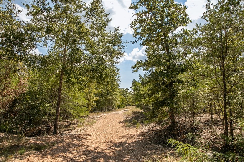 TBD FM 180, Ledbetter, TX 78946 — photo 5