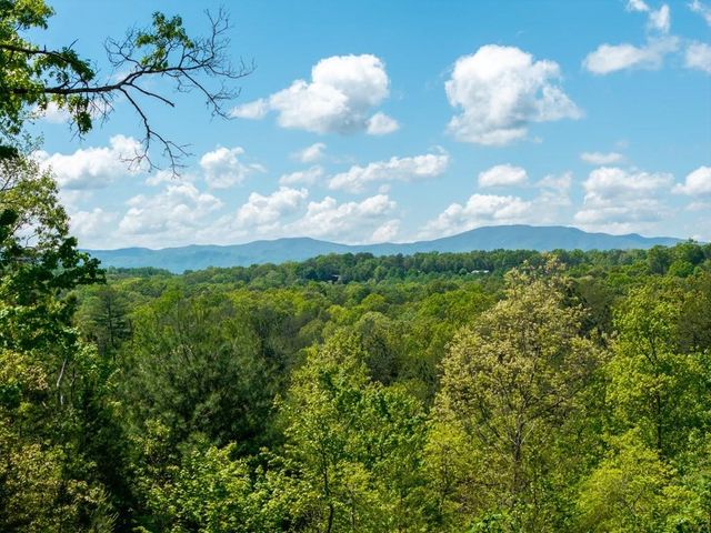 955 Mull Road, Morganton, GA 30560