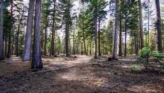 002 Ritts Mill, Shingletown, CA 96088