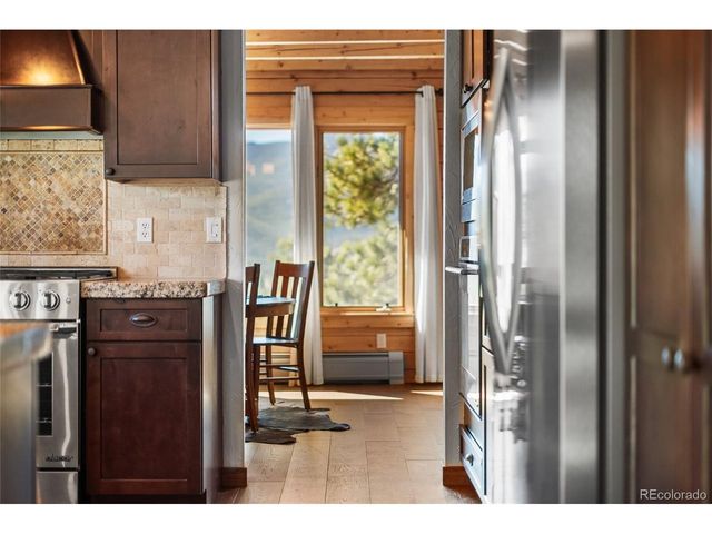 685 Jesse Ln, Bailey, CO 80421