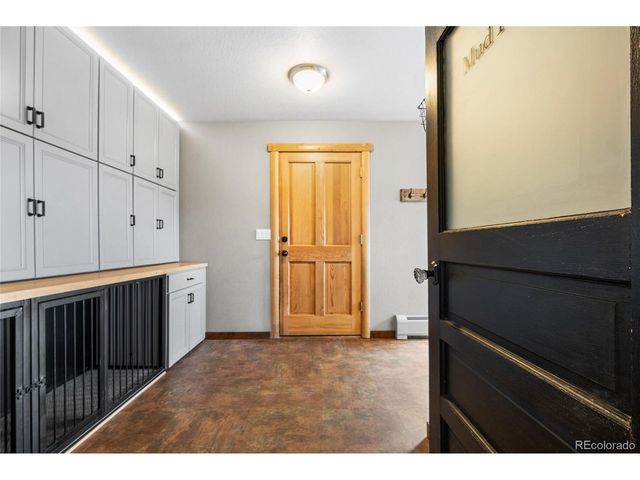 685 Jesse Ln, Bailey, CO 80421