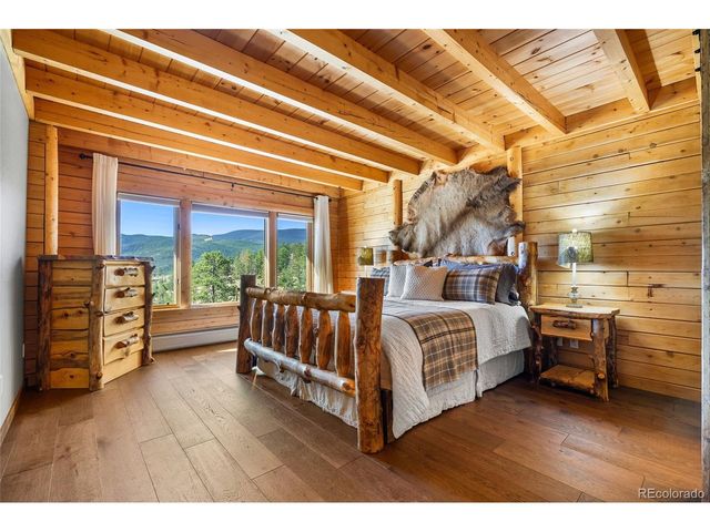 685 Jesse Ln, Bailey, CO 80421