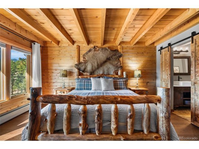 685 Jesse Ln, Bailey, CO 80421