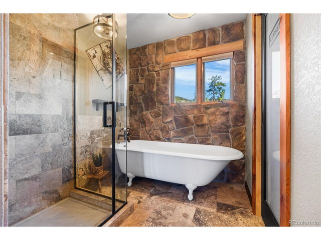 685 Jesse Ln, Bailey, CO 80421