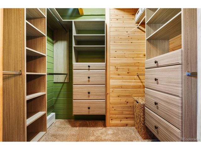 685 Jesse Ln, Bailey, CO 80421