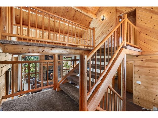 685 Jesse Ln, Bailey, CO 80421