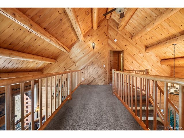 685 Jesse Ln, Bailey, CO 80421