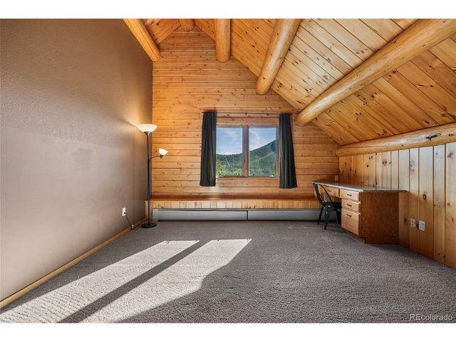 685 Jesse Ln, Bailey, CO 80421