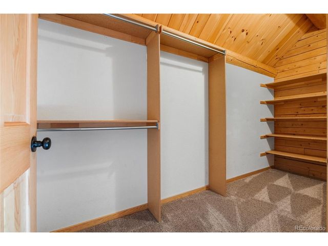 685 Jesse Ln, Bailey, CO 80421