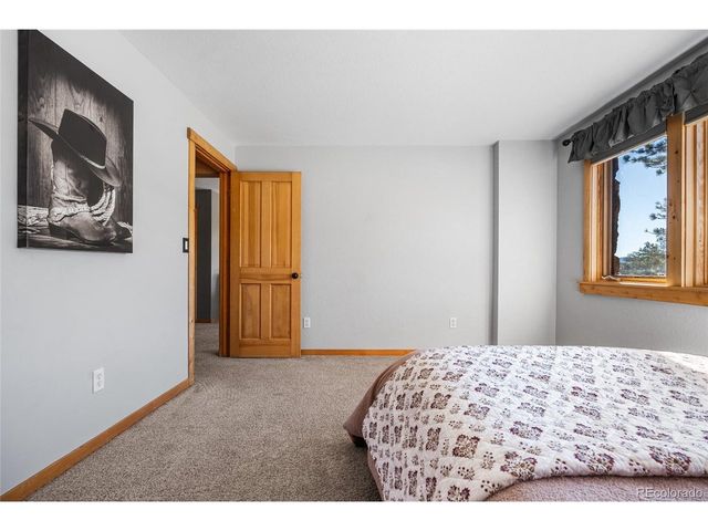 685 Jesse Ln, Bailey, CO 80421