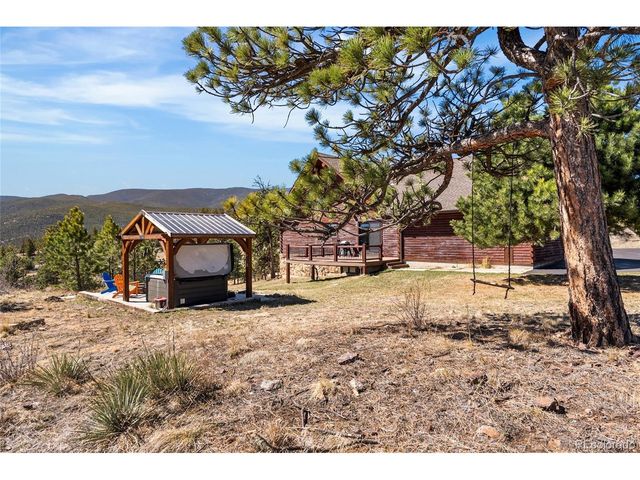 685 Jesse Ln, Bailey, CO 80421