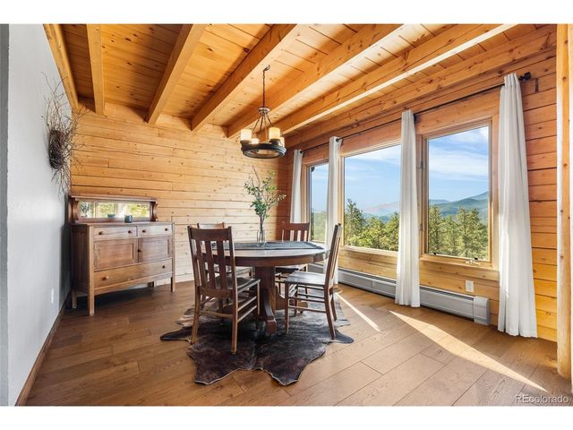 685 Jesse Ln, Bailey, CO 80421