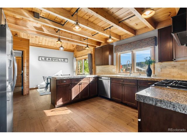 685 Jesse Ln, Bailey, CO 80421