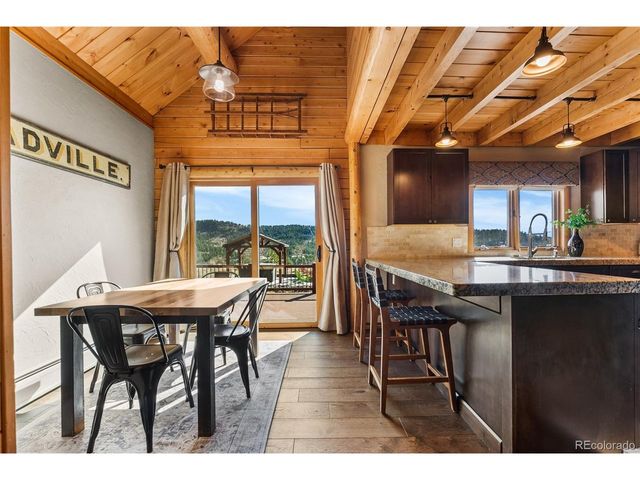 685 Jesse Ln, Bailey, CO 80421