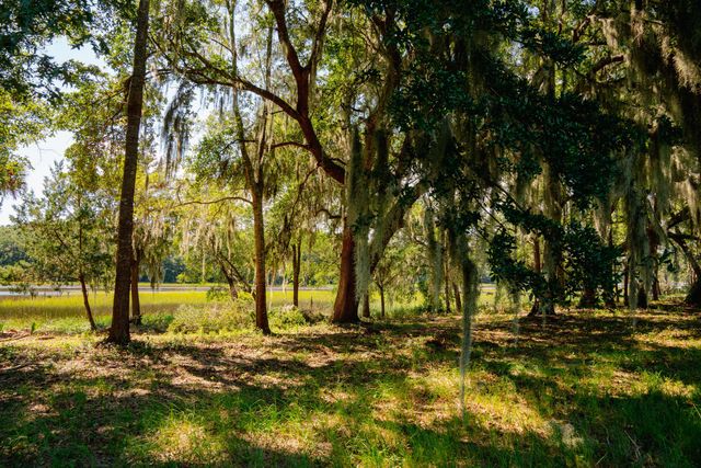 0 Hoopstick Island Road Lot 4, Johns Island, SC 29455