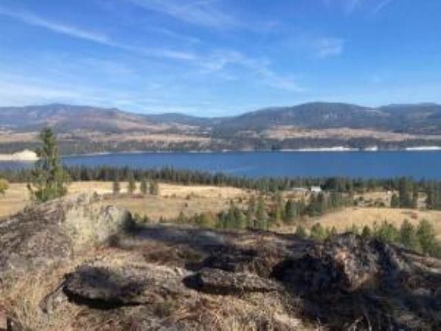 XX GRAND LOUIS RD Rd, Inchelium, WA 99138 property photo