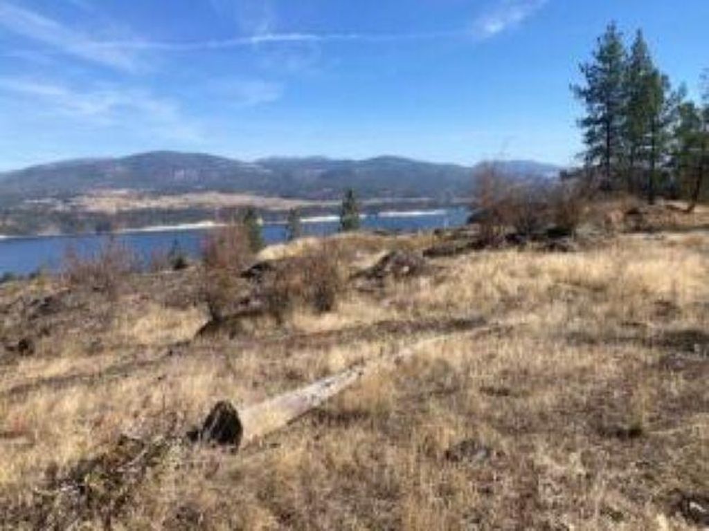 XX GRAND LOUIS RD Rd, Inchelium, WA 99138 photo 2