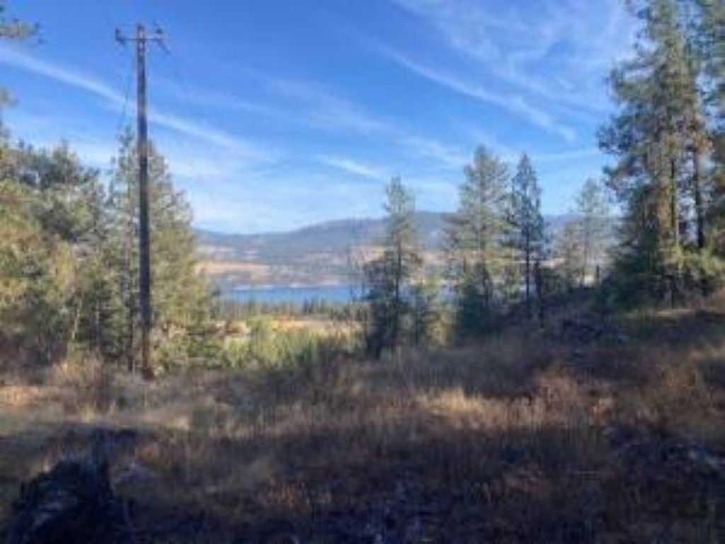XX GRAND LOUIS RD Rd, Inchelium, WA 99138 photo 3