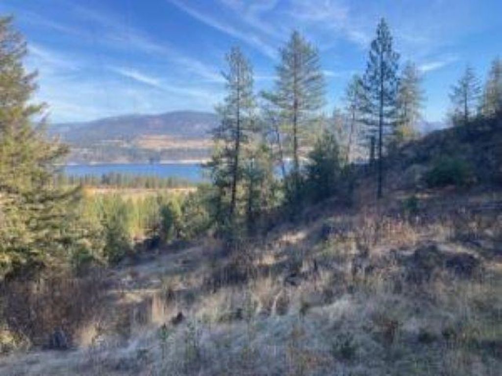 XX GRAND LOUIS RD Rd, Inchelium, WA 99138 photo 4