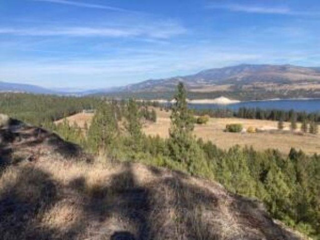 XX GRAND LOUIS RD Rd, Inchelium, WA 99138 photo 5