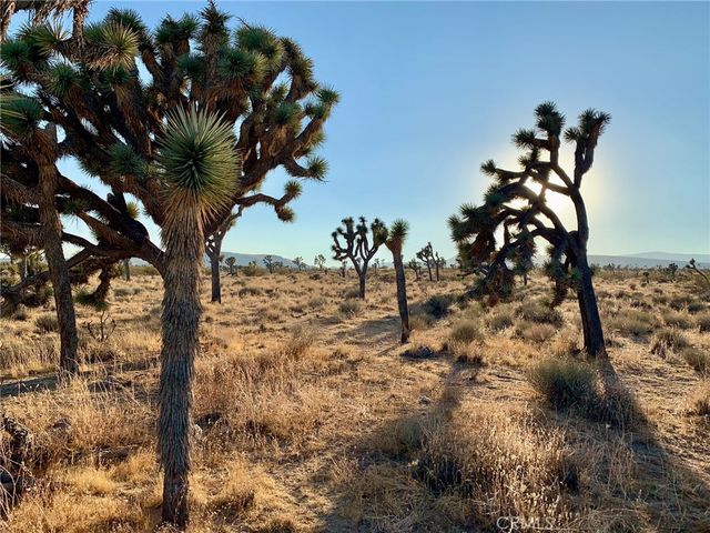 777 La Brisa Road, Yucca Valley, CA 92284