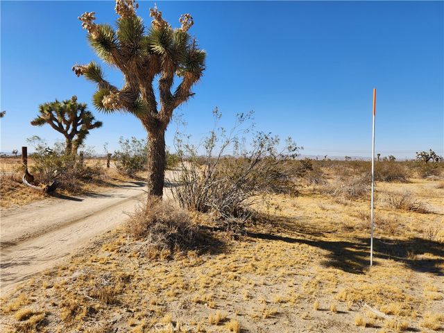 40 AC Pomona Road, Pinon Hills, CA 92372