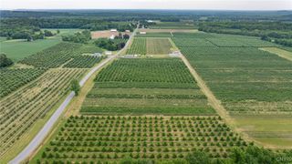 6258 Hill Road, Sodus, NY 14551