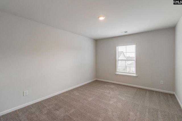 40 Blue Fescue Way, Columbia, SC 29209