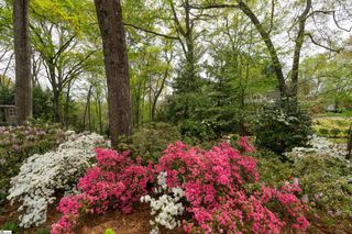 78 Woodvale Avenue, Greenville, SC 29605