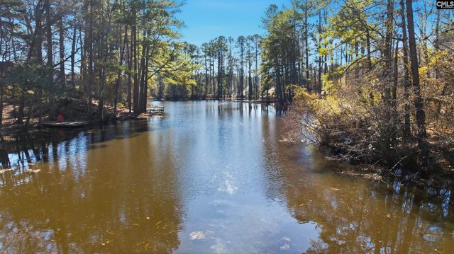 136 Silverstone Road, Lexington, SC 29072