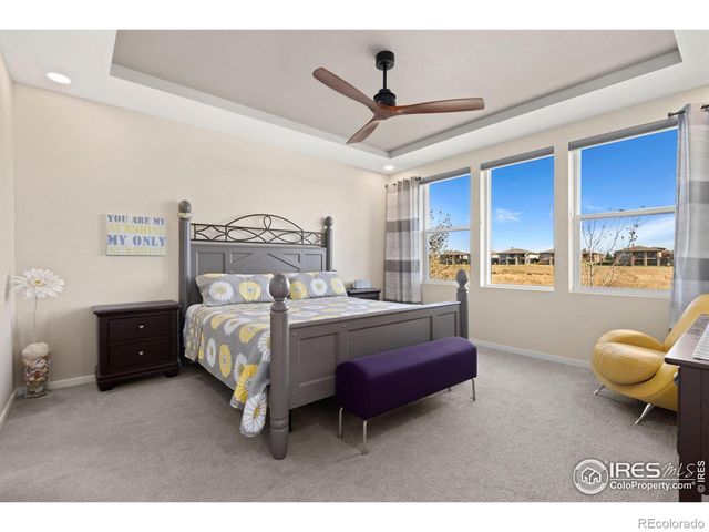 6808 Castello Street, Timnath, CO 80547