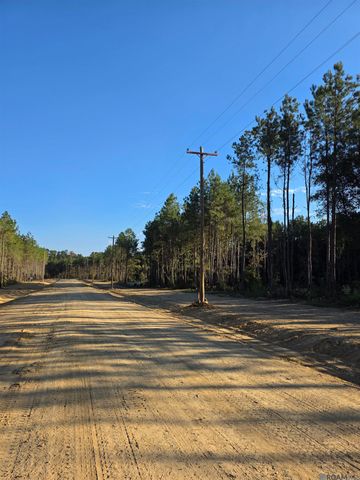 Lot 8 Honey Grove, Livingston, LA 70754