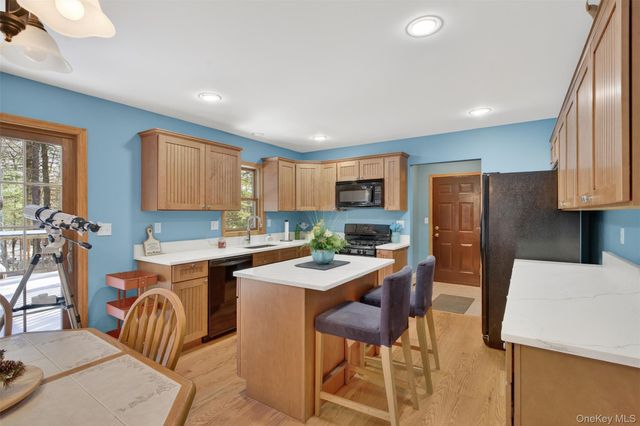 131 Ozeriany Road, Glen Spey, NY 12719