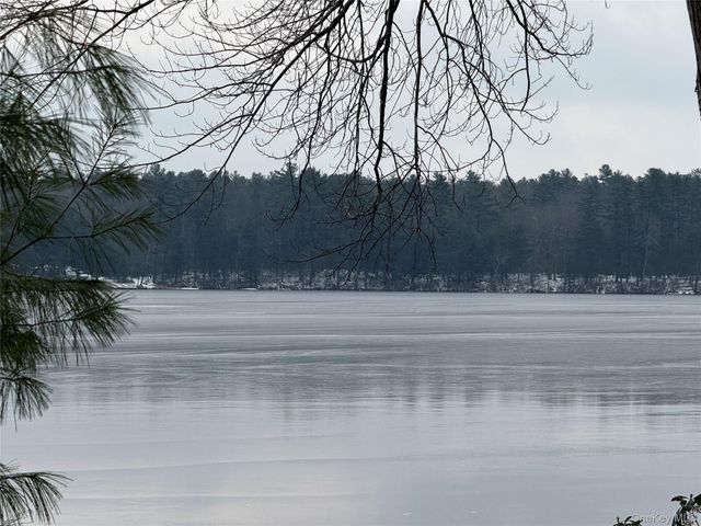 131 Ozeriany Road, Glen Spey, NY 12719