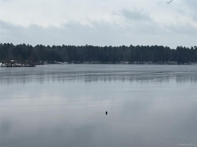 131 Ozeriany Road, Glen Spey, NY 12719