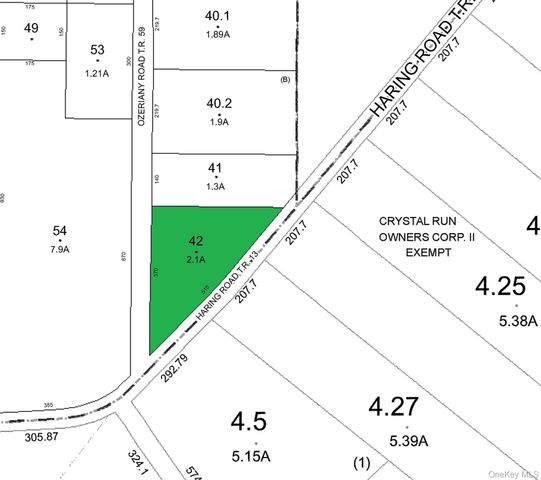 131 Ozeriany Road, Glen Spey, NY 12719