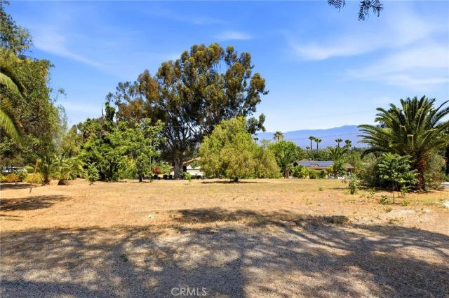 1464 Pacific Street, Redlands, CA 92373