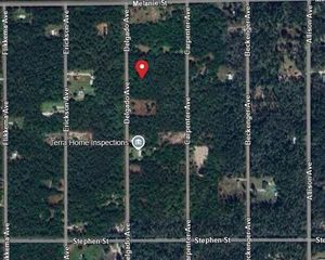 10040 Delgado Avenue, Hastings, FL 32145