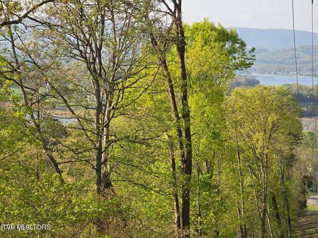 Tbd Boatmans Mountain Lot 4 Road, Morristown, TN 37814