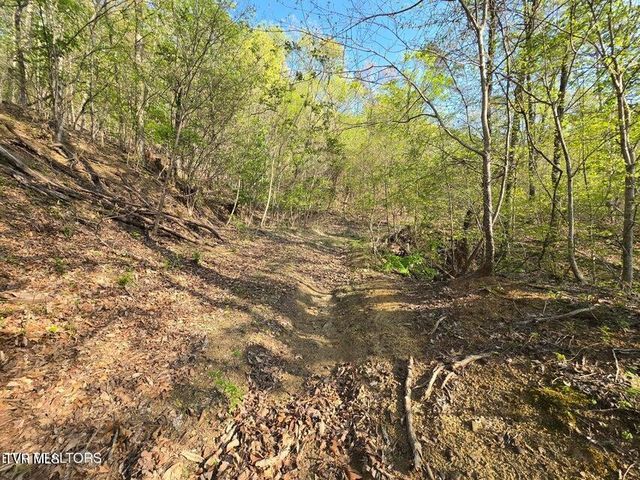 Tbd Boatmans Mountain Lot 4 Road, Morristown, TN 37814