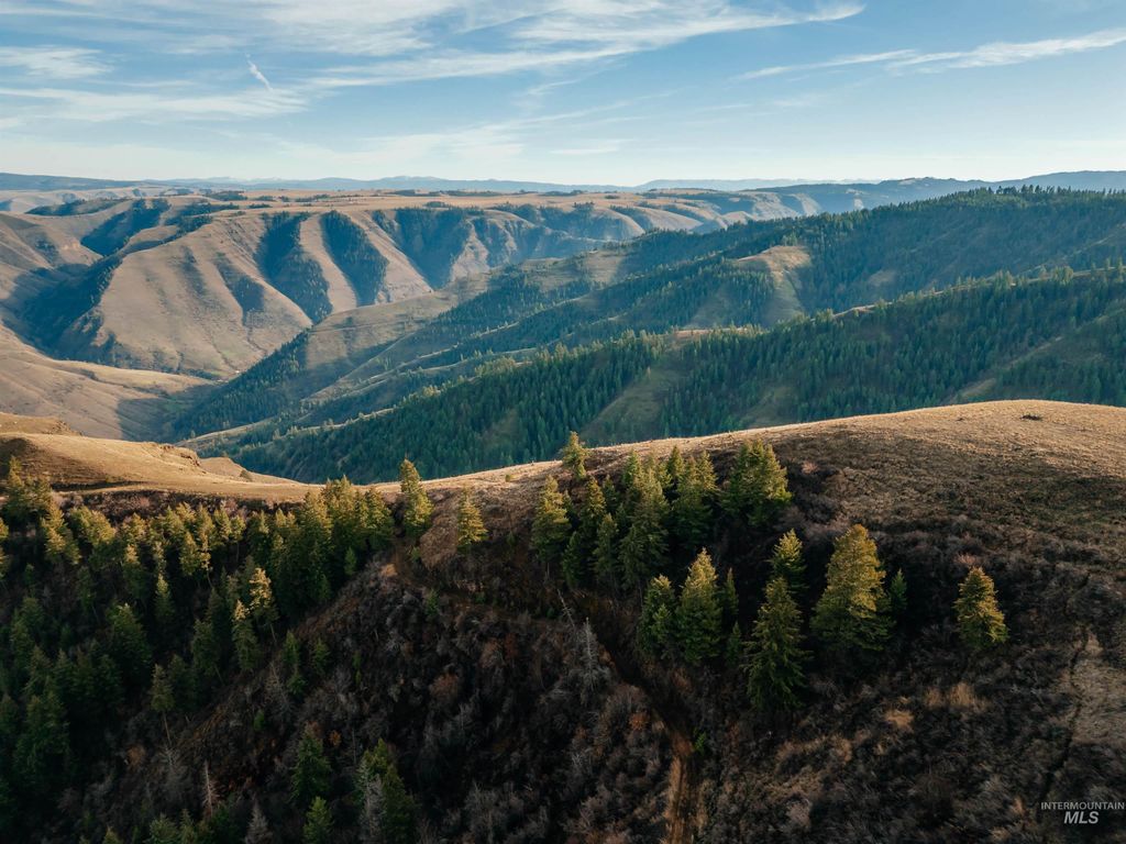 TBD Boles Road, CottonWood, ID 83522