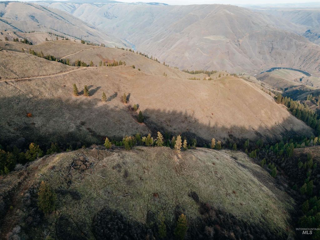 TBD Boles Road, CottonWood, ID 83522 photo 11