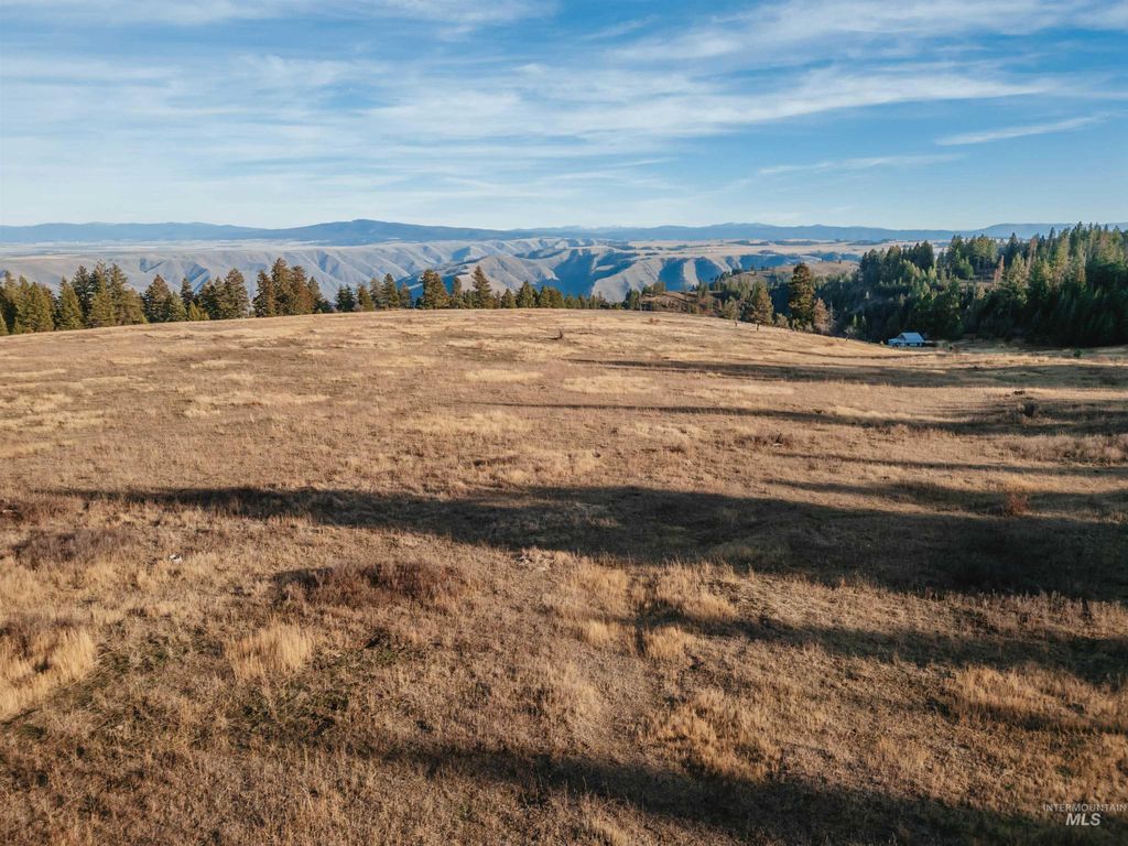 TBD Boles Road, CottonWood, ID 83522 photo 14