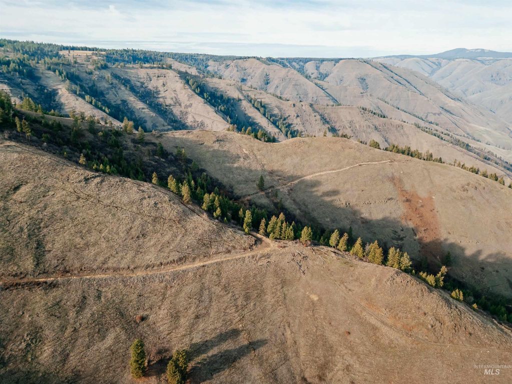 TBD Boles Road, CottonWood, ID 83522 photo 18